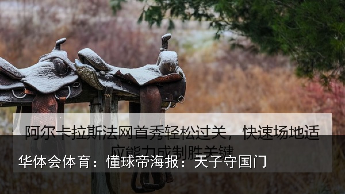华体会体育:懂球帝海报:天子守国门